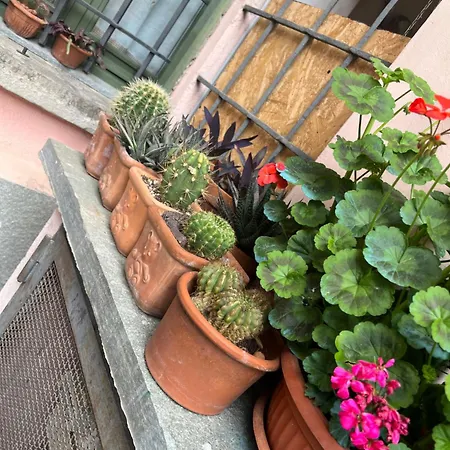 Maison Des Artistes * פינרולו